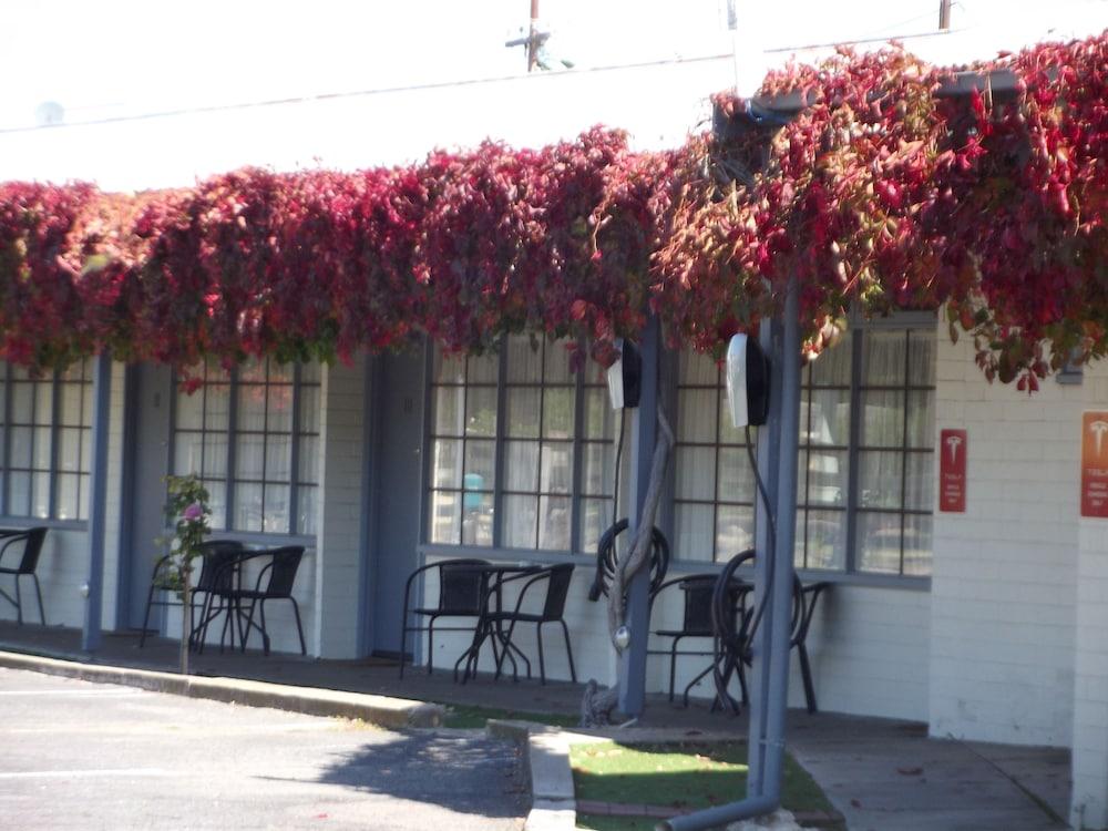 Guichen Bay Motel Robe Kültér fotó